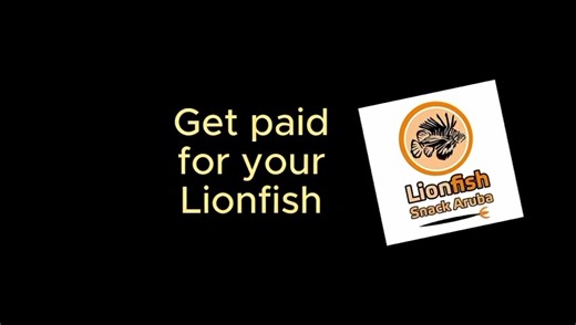 🌊 Join the Hunt, Save the Reef! 🦁🤿 Calling all divers! Get ready for an epic underwater mission with the Aruba Lionfish Tournament 2025! — where conservation meets competition. Help protect our vibrant reefs by removing invasive lionfish, compete for awesome prizes, and dive into a week of purpose-driven fun with fellow ocean lovers. Whether you're a seasoned spearfisher or a first-time lionfish hunter, your dive makes a difference. Let’s turn the tide together! 📍 Location: Aruba 📅 Date: 07