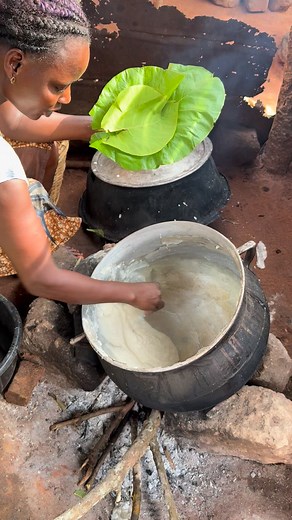 In rural Benin, corn porridge is an everyday dish made from finely ground corn that is slowly cooked with water until it reaches a thick, smooth consistency. It is typically prepared over a wood fire and stirred constantly with a wooden paddle. Served with local sauces made from tomatoes, palm oil, wild greens, or dried fish, it forms a simple yet essential part of the family diet. #fblifestyletyle #inspirationofafrica | Quim Fàbregas