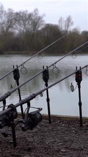 Winter Carp Fishing Success: 20 Carp in 24 Hours