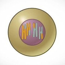 Video: Mendel's Laws, Genetic Crosses and Tetrad Analysis