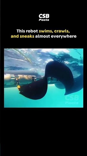 One Robot That Can Swim, Crawl & Explore Anywhere 🤯🤖
