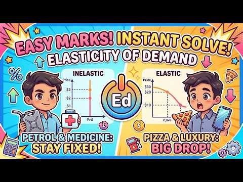 Elasticity of Demand Explained Simply | Price Elasticity (PED) Made Easy