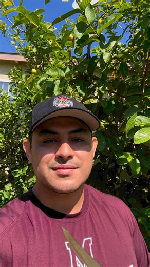 BBQ Class In Los Angeles! 🙌 #bbq #grilling #meat | Beatdown BBQ