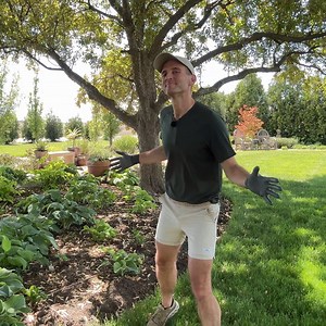 Today is all about some new plants going in the garden: hellebores, hostas, and lilacs. The hellebore and hosta bed is really looking great and filling in nicely. Plus, I love the lilacs that are planted over my mom's farm, so I decided it was time to plant some at my own! | Wyse Guide