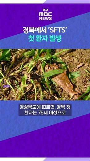 First Case of Severe Fever with Thrombocytopenia Syndrome (SFTS) in North Gyeongsang Province #sh...
