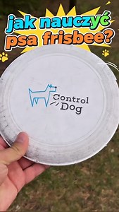 Jak nauczyć psa frisbee ⁉️ #szkoleniepsów #trenerpsów #behawiorysta #tresura #treserpsów | Control Dog - sportowa szkoła dla psów