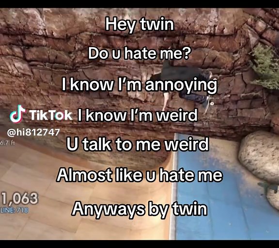 Understanding Twin Relationships: Are We Annoying Each Other?