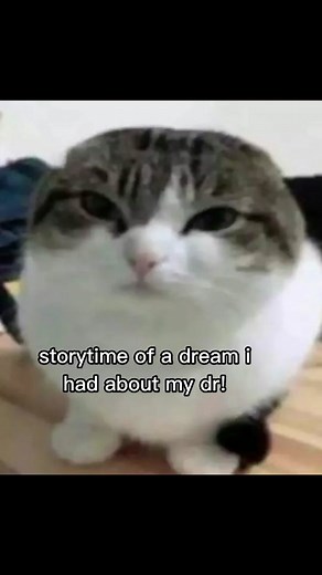 shifters pls interact!! on TikTok