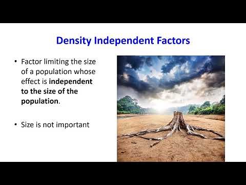 Population Density Factors