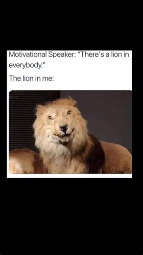 Johnny Bravo Explains Memes on Instagram: "Hey everyone, Johnny here to explain. This meme plays on the common motivational phrase, "There's a lion in everybody," which is often used to inspire people to be brave, strong, and courageous. The speaker implies that everyone has a powerful, inner "lion" to draw from. However, the second part of the meme humorously contrasts this motivational ideal with the reality of how the person feels. The image shows a taxidermied lion with a somewhat awkward, a