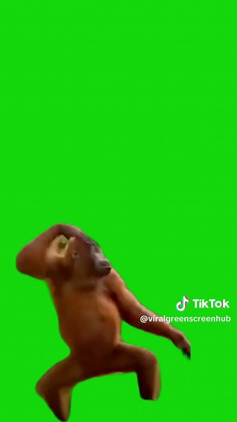 Dancing Monkey Meme Green Screen CapCut Template