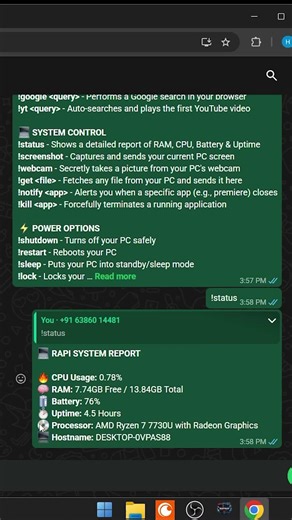 Control Your PC From ANYWHERE in the World! 🌍 (Rapy Control Monitor)