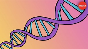 Rosalind Franklin: DNA's unsung hero