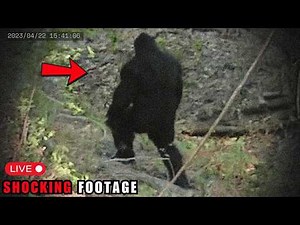 100 Real Bigfoot Sightings That Will Haunt You Forever