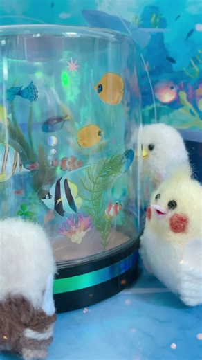 撮影の水族館的な水槽小道具作りたくて家にあった海苔の入れ物とかで即席貧乏アクアリウム作り(´^ω^｀)ﾌﾞﾌｫ 大きさちょうどよかったー𓆛#水族館#アクアリウム