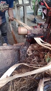 abaca fiber process #abaca | Remon Saludo