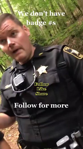 Unveiling the North Carolina Tyrant Hunter