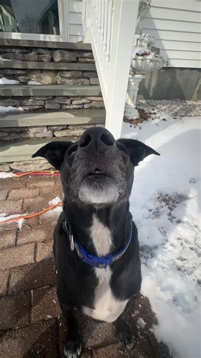 Creative Camera Tricks for Engaging Videos