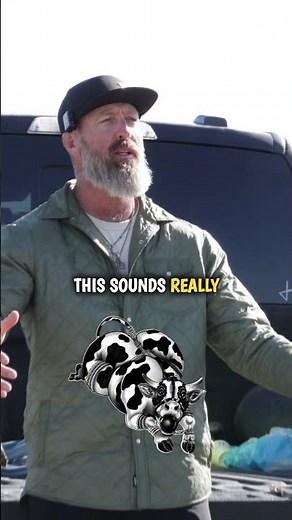 How to Collect Bull Semen for Breeding