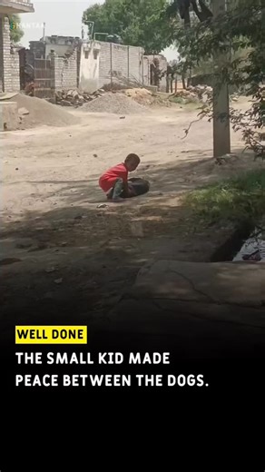 ghantaa on Instagram: "Well done trump"