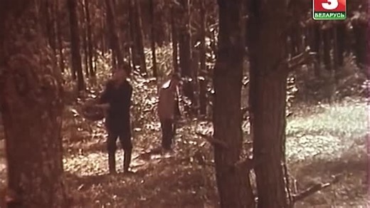 Видео Дебют 1978. | OK.RU