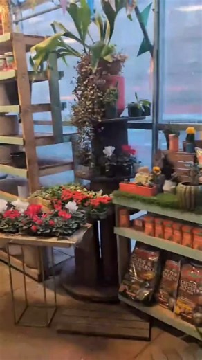 PS112 Jose Celso Barbosa on Instagram: "Connecting with our community, one conversation at a time! 🌟 We hit the streets of East Harlem to share what makes our school so special and invite families to join our learning community. Come meet us at La Marqueta and let’s chat about how we can support your child’s journey! #EastHarlem #CommunityFirst #SchoolChoice #NYC #EducationMatters”#ps112m"