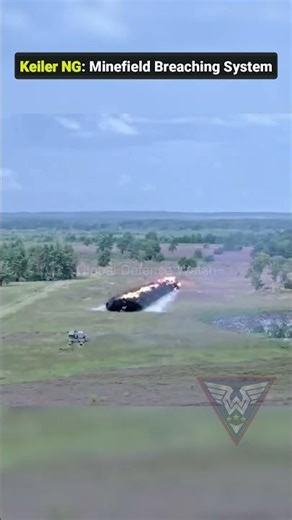 Keiler NG: Minefield Breaching System''