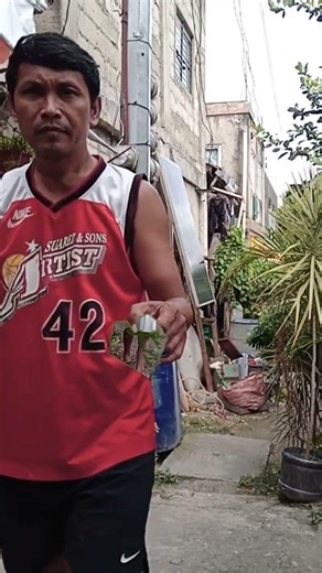 GREEN SCREEN EFFECT #capcutedit #capcuttutorial #greenscreen