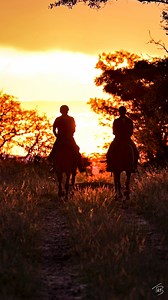 1.9K views · 86 reactions | Join us on an 8 day safari in South...