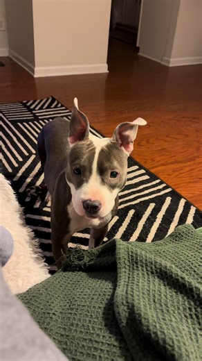 The girl pack all together ♥️