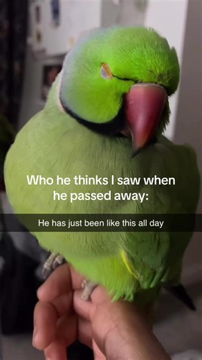 His one years coming up 💔 #grief | grieving