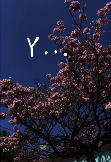 Todo cuenta/DLD 😎 #CapCut #todocuenta #dld #editsounds @DLD #celesedit