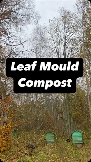 Leaf mould can make the ultimate soil booster… #soilscience #gardeningtips #leavesfalling #composting #latvia #latvija #dārzs | Baltic Homesteaders