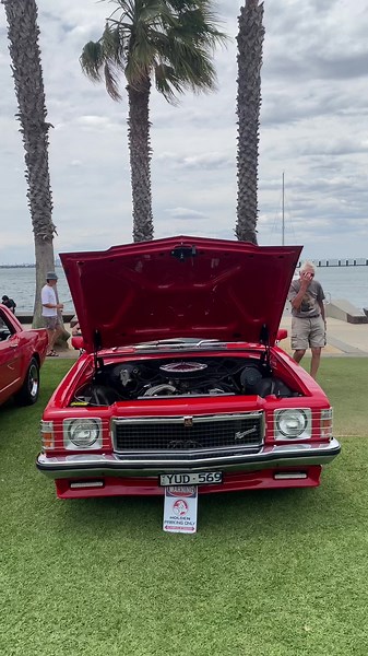 Kingswood Holden: A Classic Car Enthusiast's Dream