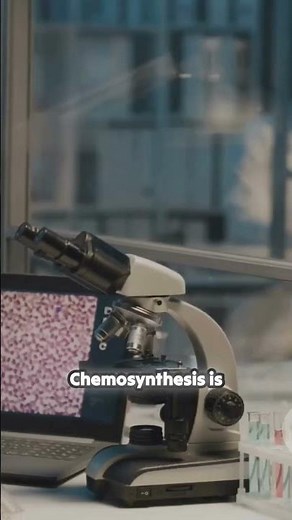 Chemosynthesis : Life Without Sunlight