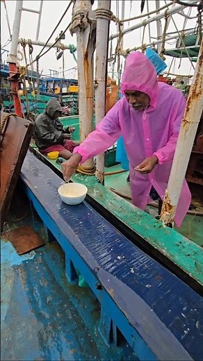 Old Man Fishing Inside Boat Gaps. #fishing #fishingvideos #thoondilulagam #seafishing