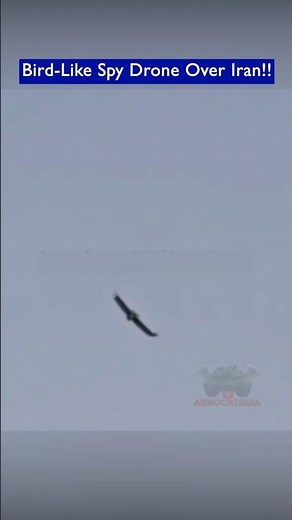 A Bird-Like Spy Drone Spotted Flying Over Iran!!