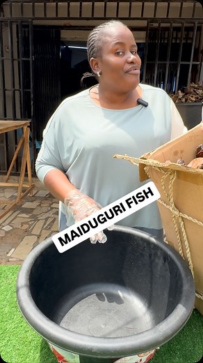 387 reactions · 29 shares | MAIDUGURI FISH 40 pieces for #85,000 TO MAKE PURCHASE OR ENQUIRIES  Please Send a DM VIA HERE ON INSTAGRAM Send messages on WhatsApp 1)08138866763 2)09136496393  Use the catalogue on WhatsApp (very fast) Shop via the website https://twinnyskitchen.com/ OUR WALK-IN WAREHOUSE IS LOCATED AT LIBERTY JUNCTION DIRECTLY OPPOSITE LAVISH RESTAURANT KUBWA ABUJA. | Augustina Onoriode | Facebook