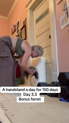 150 Days of Handstand Training with Mr. Wheezy