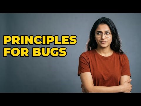 What Principles Guide Code Defect Localization?