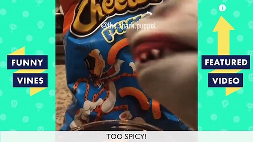 TRY NOT TO LAUGH - FUNNY SHARK PUPPET Videos!