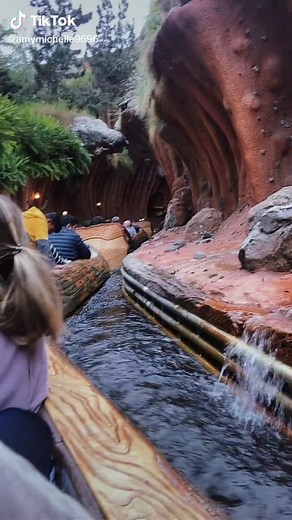 Stuck on Splash Mountain! It’s been about 5mins #disney #disneyland #splashmountain
