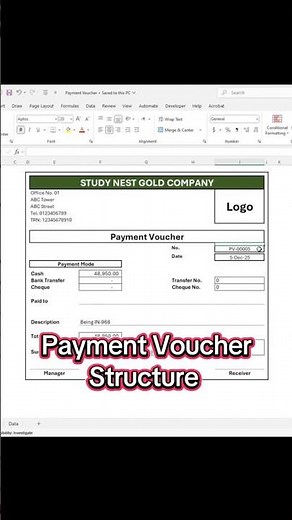 Payment Voucher Format in Excel | Dynamic & Automatic Excel Voucher | Study Nest