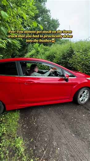 Driving Adventures: Almost Stuck on the Farm