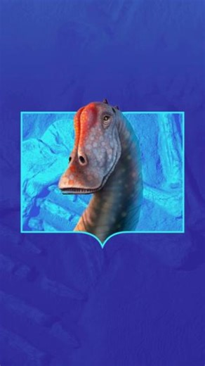 4K views · 13 reactions | It’s time to kick off the #DKDinoDay countdown!  For the next two weeks, we’re going to be sharing all things roarsome with prehistoric facts, videos from our experts, and brilliant book recommendations! 秊 | DK Books | Facebook