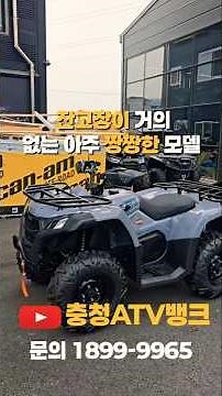 There are many cheap and good ATVs in the world. You should compare the price-performance ratio o...