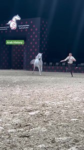 ❤️Le cheval arabe rare❤️ ❤️الحصان العربي النادر❤️ _ _ _ _ _ الخيل العربي الأصيل هو من سلالات الخيول الخفيفة في العالم وأصل هذه السلالة من شبه الجزيرة العربية، والخيول العربية تتميز برأسها المميز وذيلها المرتفع وتعدّ بذلك واحدة من الأنواع التي من السهل التعرف عليها عبر العالم، وهي واحدة من أقدم سلالات الخيول وأفضلها وقدرتها على الركض لمسافات طويلة وجمالها الملفت للنظر، فالأدلة الأثرية ترجع أصول الخيول العربية إلى أكثر من 4500 سنة، فعلى مر العصور، بدأت الخيول العربية من قلب الجزيرة العربية وانتشرت