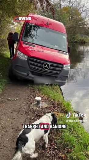 I couldn't help myself #funny #parcelforce