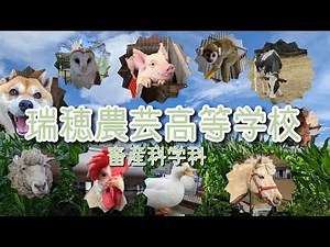 令和4年度 瑞穂農芸高校 畜産科学科紹介（生徒作品）6