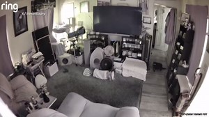 California earthquake: Home surveillance video shows shaking during quake